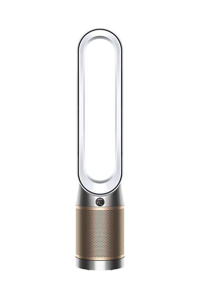 Offerta Dyson  Purifier Cool PC2 De-NOx Purificatore