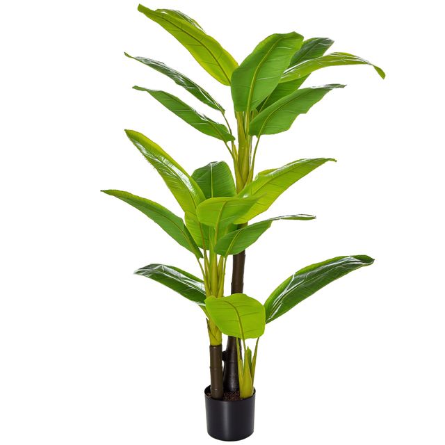 Offerta HOMCOM Banano Pianta in Vaso